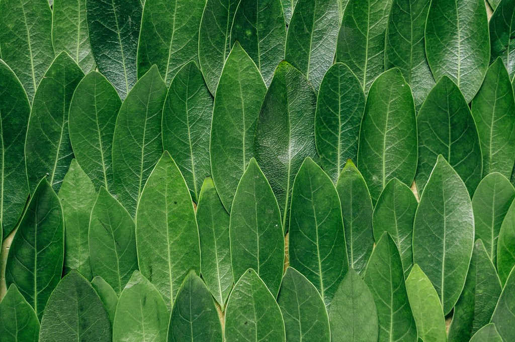 Erol Ahmed WKTF65TcReY Unsplash Erol Ahmed WKTF65TcReY Unsplash