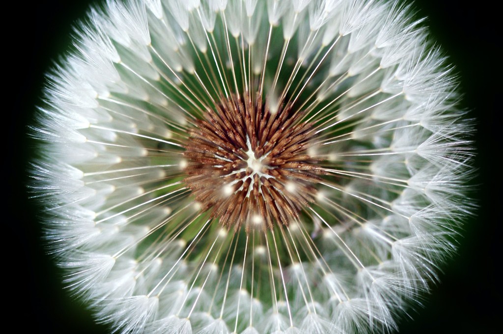 Olena Ivanova UKVs2ovR0KY Unsplash Olena Ivanova UKVs2ovR0KY Unsplash