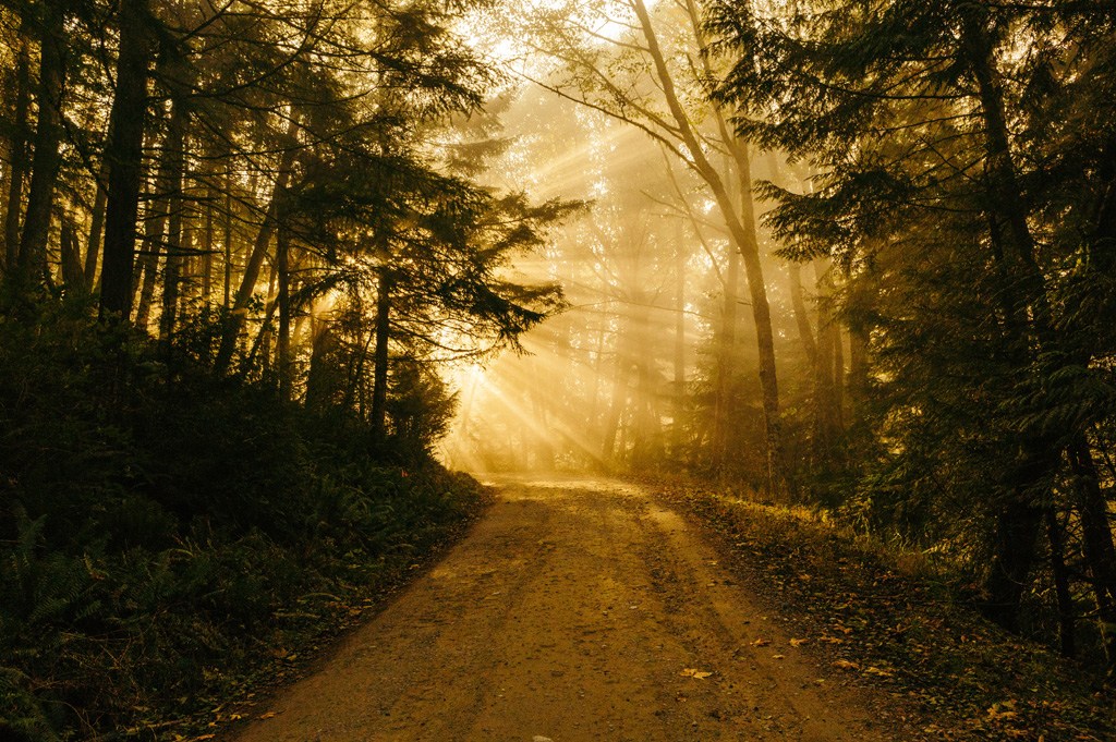 Patrick Fore 74TufExdP3Y Unsplash Patrick Fore 74TufExdP3Y Unsplash