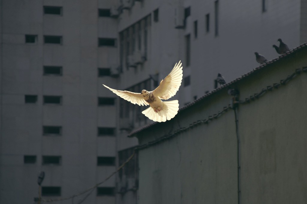 Sunyu JhqBxsORuXA Unsplash Sunyu JhqBxsORuXA Unsplash