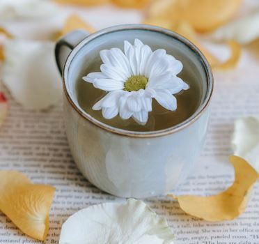 communitea2 communitea2