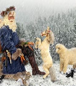 santa with animals