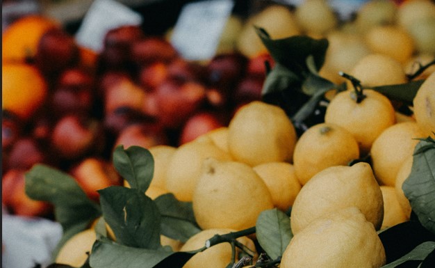 fruits fruits